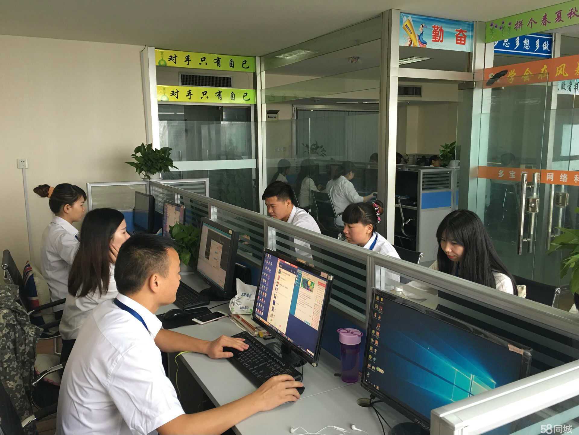 湖北多宝延 深耕网络信息服务，筑牢数字化发展基石
